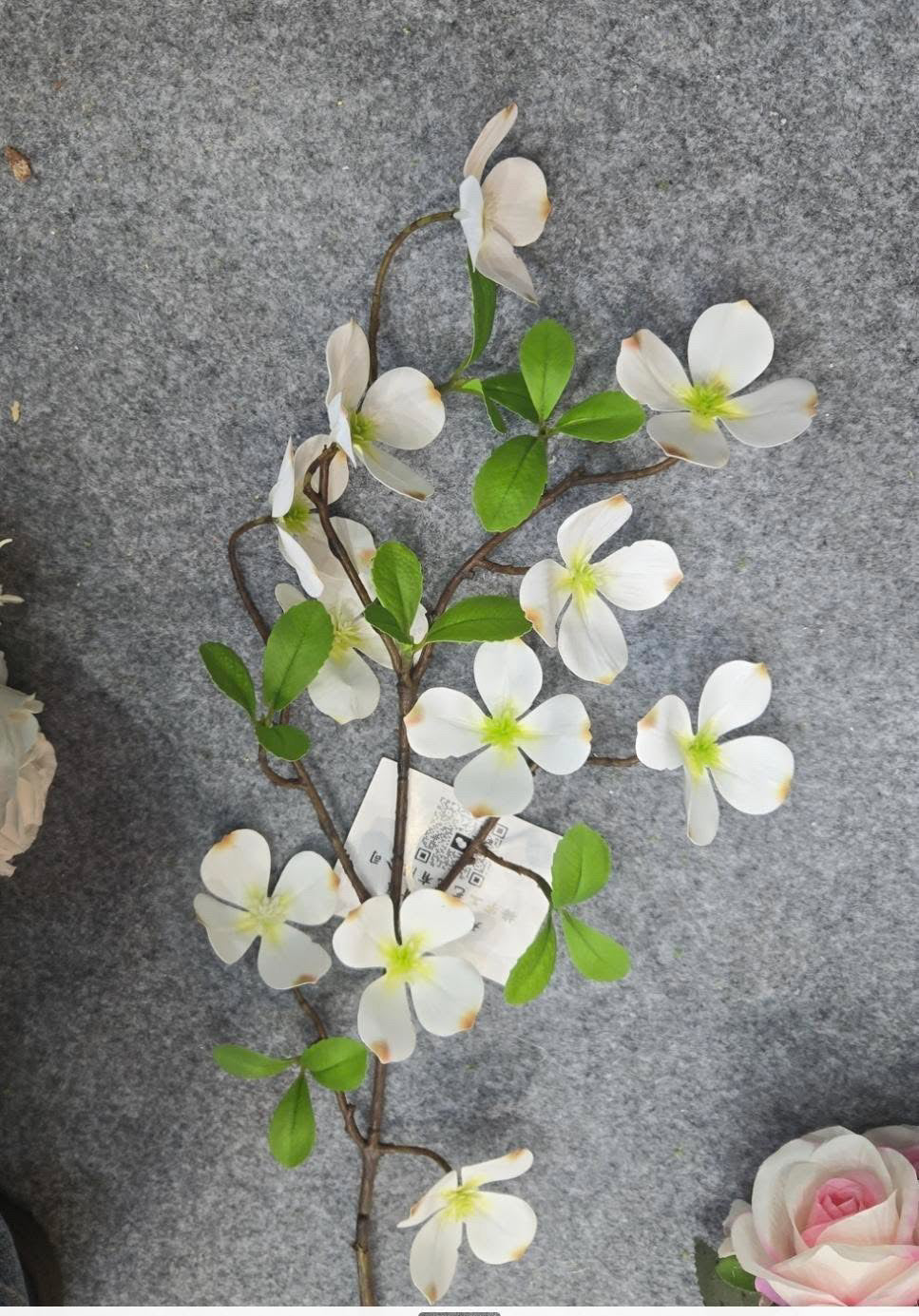 Dogwood flower