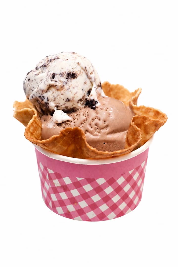 10pcs 4oz ice cream cup
